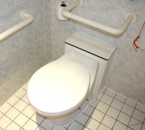 cs-toilet2
